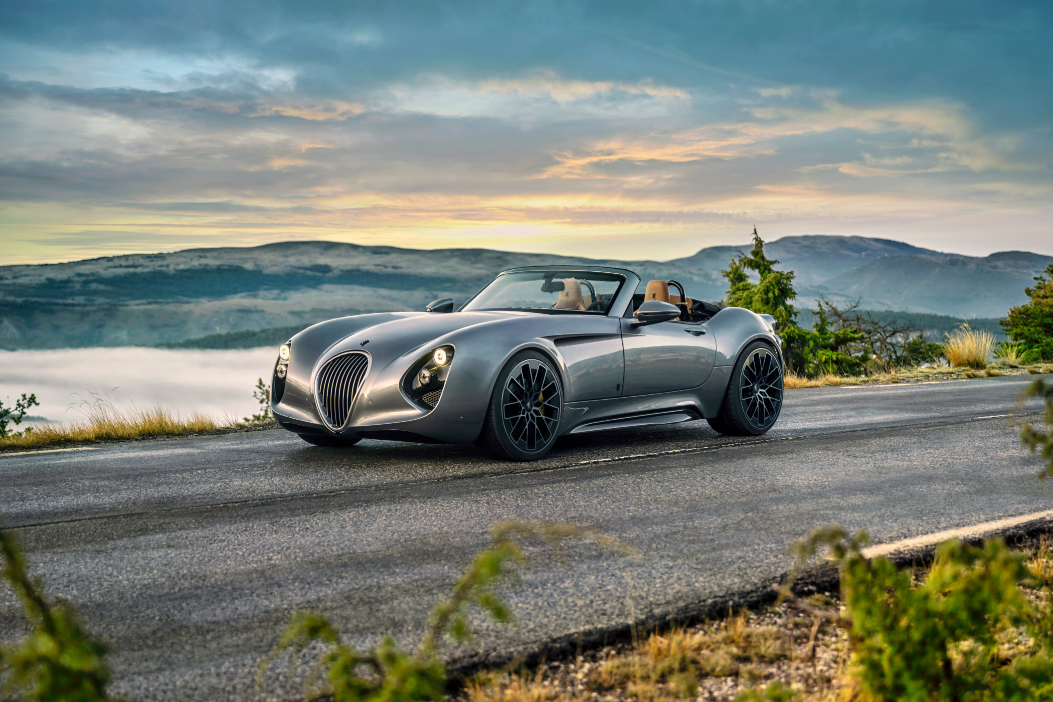 Wiesmann