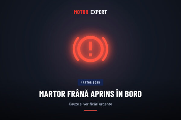 Martor frână aprins în bord